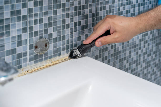 Best Attic Mold Removal  in Chesapeake Beach, MD