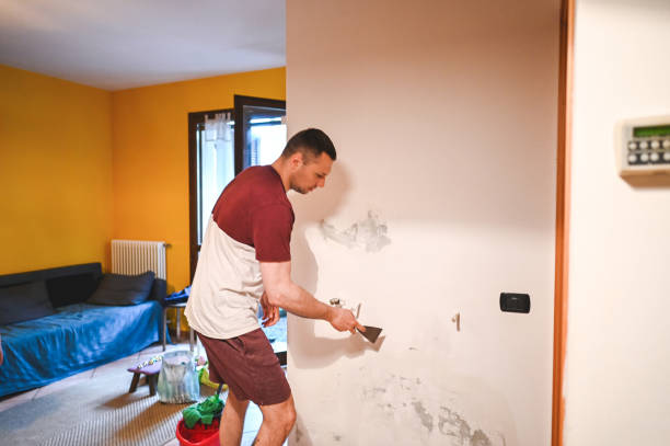 Best Mold Removal and Inspection  in Chesapeake Beach, MD